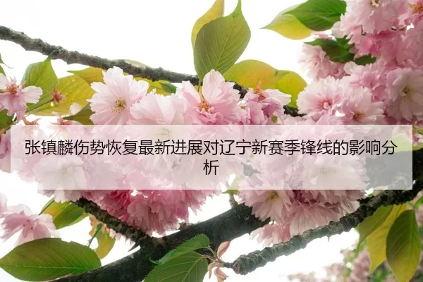 张镇麟伤势恢复最新进展对辽宁新赛季锋线的影响分析