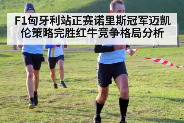 F1匈牙利站正赛诺里斯冠军迈凯伦策略完胜红牛竞争格局分析